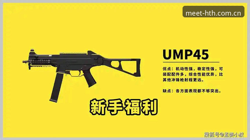 深度揭秘HTH华体会中国站入口：从新手到精通的操作攻略